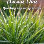 buenos días que hoy sea un gran día