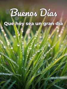 Imágenes lindas de buenos días para celular