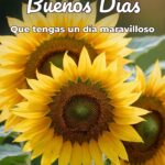 buenos días que tengas un día maravilloso