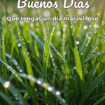 buenos días que tengas un día maravilloso