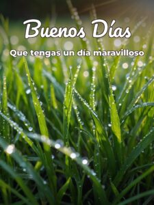 Imágenes muy bonitas de buenos dias para descargar