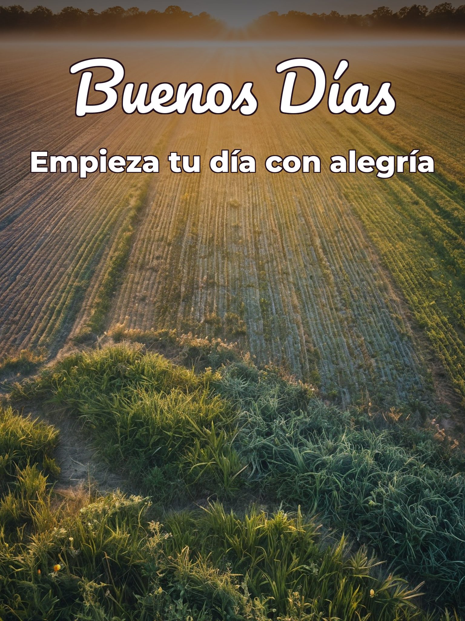 Imágenes nuevas buenos días para celular