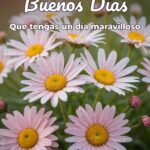 buenos días que tengas un día maravilloso