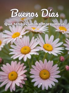 Imágenes nuevas buenos días para una amiga