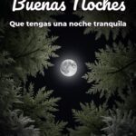 buenas noches que tengas una noche tranquila