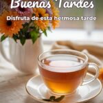 buenas tardes disfruta de esta hermosa tarde