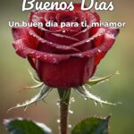 buenos días un buen día para ti, mi amor