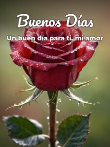 Imágenes nuevas de buenos días amor para mi amor