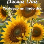 buenos días te deseo un lindo día