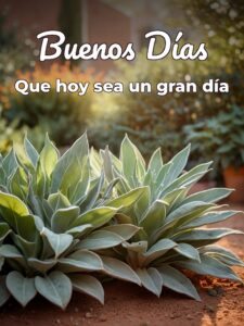 Imágenes para buenos días