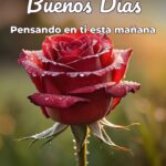 buenos días pensando en ti esta mañana