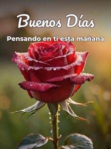 Imágenes para buenos días amor para WhatsApp