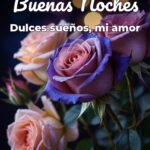 buenas noches dulces sueños, mi amor