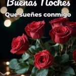 buenas noches que sueñes conmigo