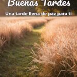 buenas tardes una tarde llena de paz para ti