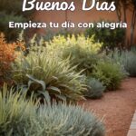 buenos días empieza tu día con alegría