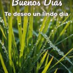 buenos días te deseo un lindo día