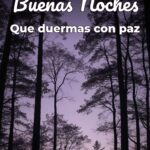 buenas noches que duermas con paz