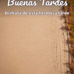 buenas tardes disfruta de esta hermosa tarde