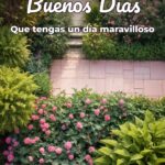 buenos días que tengas un día maravilloso