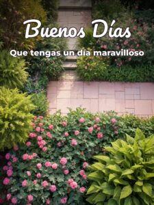 Imágenes para desear buenos días
