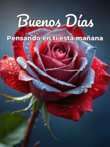 Imágenes para desear buenos días a mi amor para mi amor