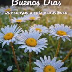 buenos días que tengas un día maravilloso