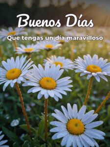 Imágenes para desear buenos días para Facebook