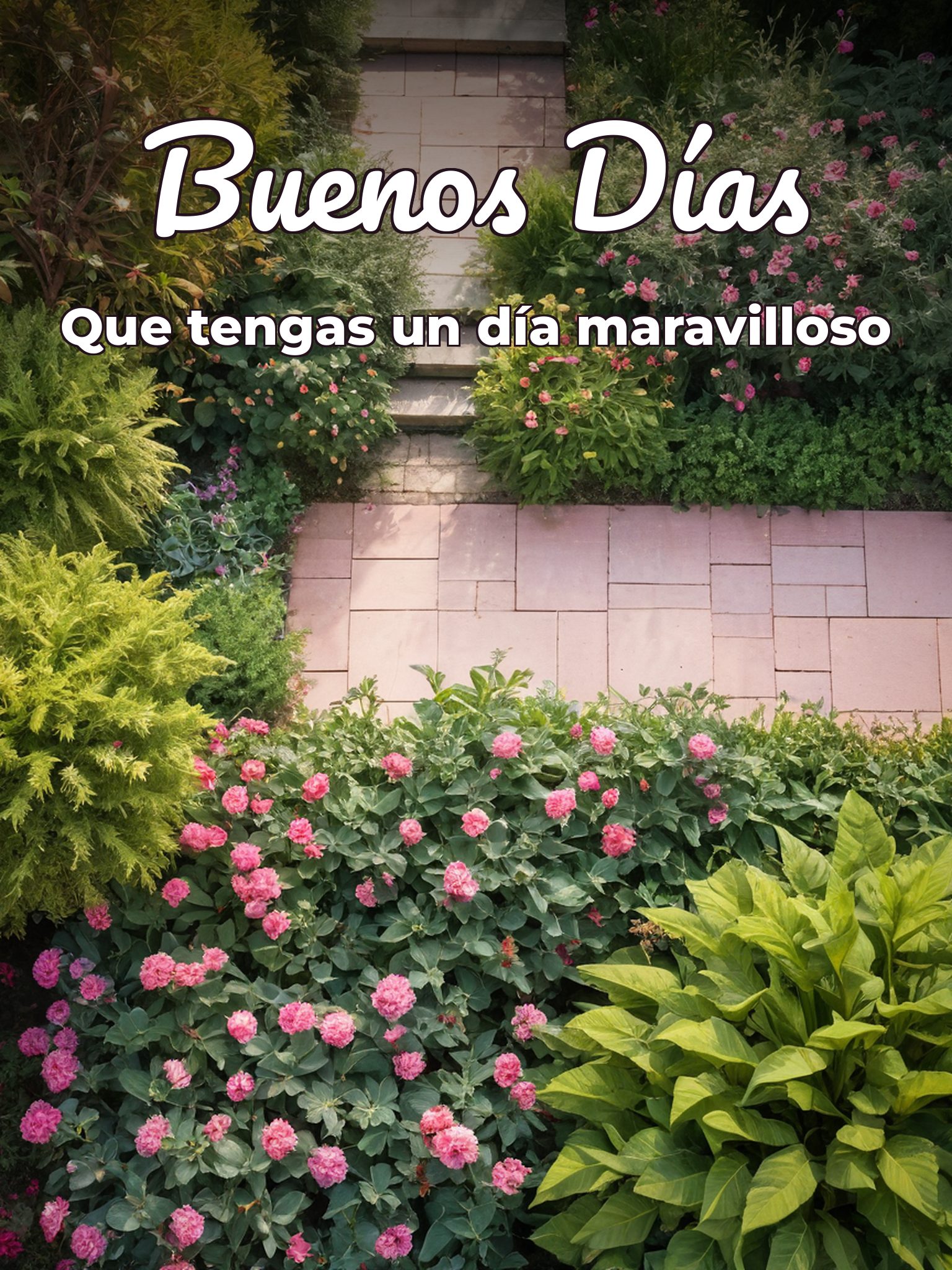 Imágenes para desear buenos días