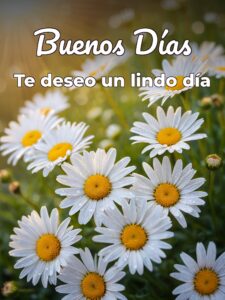 Imágenes para desear los buenos días para celular