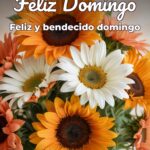 feliz domingo feliz y bendecido domingo