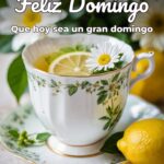feliz domingo que hoy sea un gran domingo