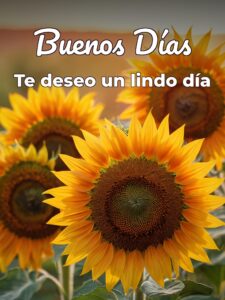 Imágenes para los buenos días para celular