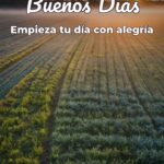 buenos días empieza tu día con alegría