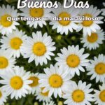 buenos días que tengas un día maravilloso