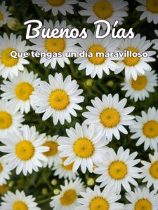 Imágenes para los buenos días para WhatsApp