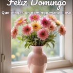 feliz domingo que tengas un domingo maravilloso