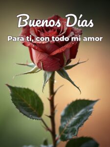 Imágenes para mi amor de buenos días para descargar