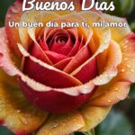 buenos días un buen día para ti, mi amor