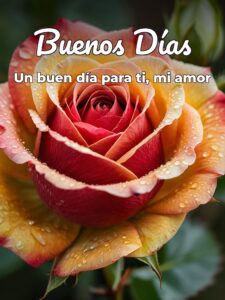 Imágenes preciosas de buenos días amor para una amiga