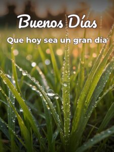 Imágenes preciosas de buenos días para una amiga