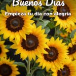 buenos días empieza tu día con alegría