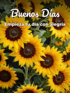 Imágenes preciosas de buenos días para WhatsApp
