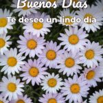 buenos días te deseo un lindo día