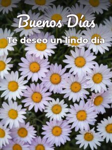 Imágenes que digan buenos días para descargar