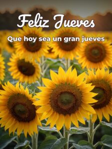 Imágenes que digan feliz jueves