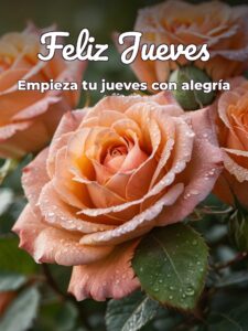 Imágenes que digan feliz jueves para Facebook