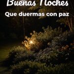 buenas noches que duermas con paz