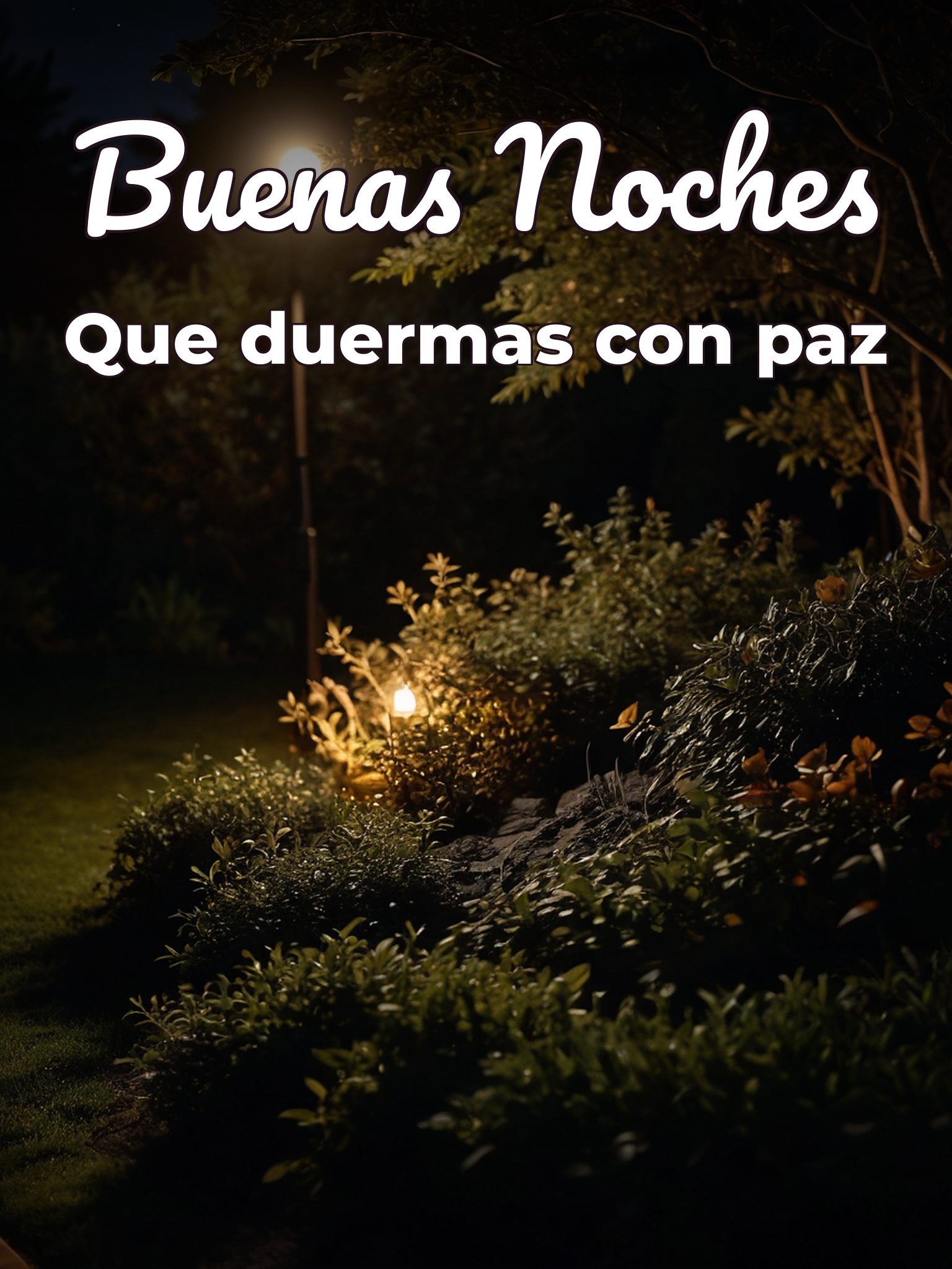 Imágenes recientes de buenas noches para Facebook