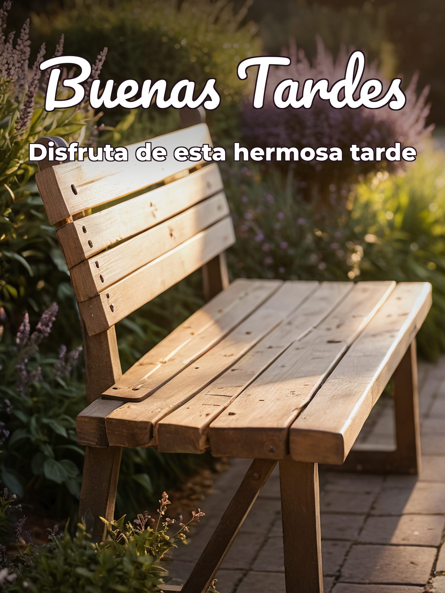 Imágenes tardes para Facebook y WhatsApp